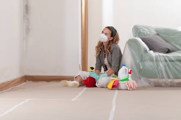 Reliable Mold Remediation contractor in Meyersdale, PA by WQB Mold Removal